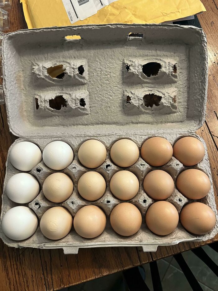 Los huevos que organizó mi novia 