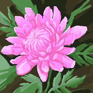 elizabethjohnson-thomas avatar