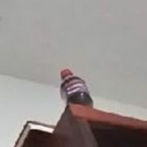 dragondragon_2 avatar