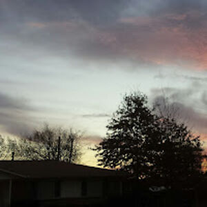 ramonaschober avatar