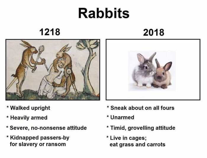 Rabbits Just Aren't What They Used To Be