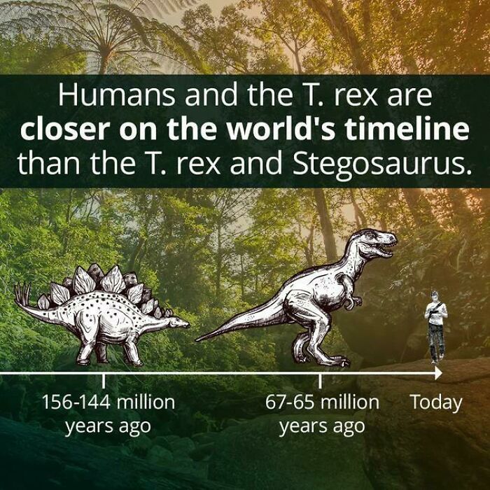 Humans And The Tyrannosaurs Rex Are Closer On The World’s Timeline Than The Tyrannosaurs Rex And The Stegosaurus