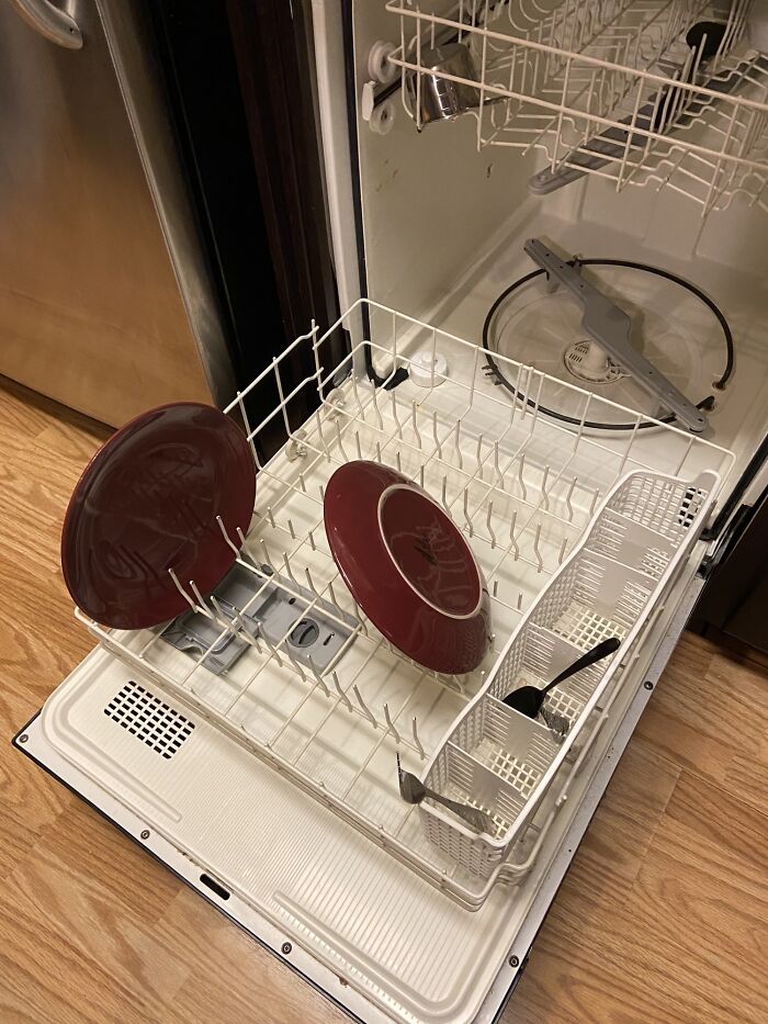 Almost Totally Empty Dishwasher, Roommate Loads Their Plate Like This. I Live With Animals