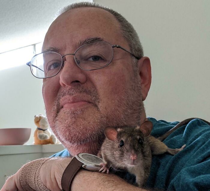 My Rat, Peter, Kept Me Company While I Was Working From Home This Past Year