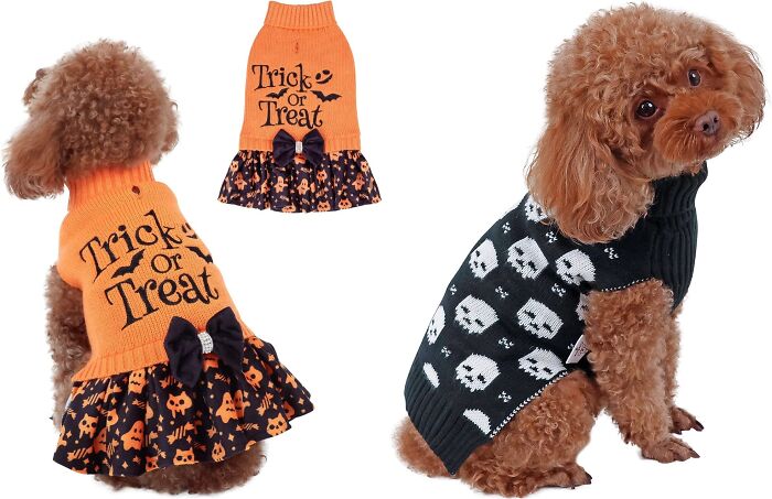 Halloween Knit Dog Sweater