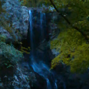 matthewmiller_2 avatar