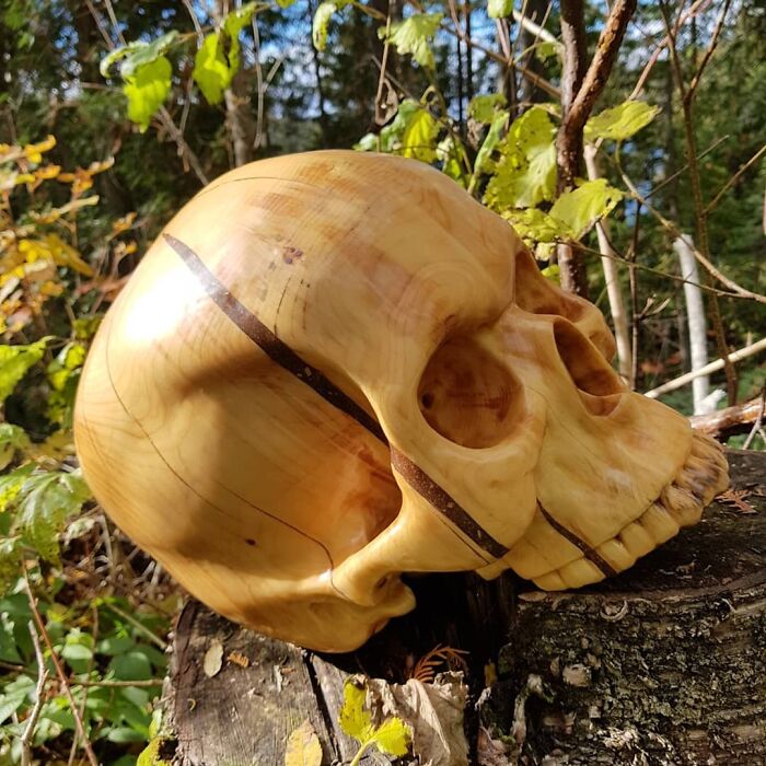 White Spruce Skull - Carved With All Sorts Of Power/Hand Tools