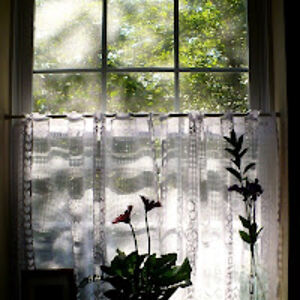 jenandersonjennae avatar