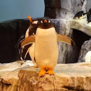 jenniferwhorley avatar