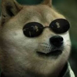 dogefromthefuture avatar