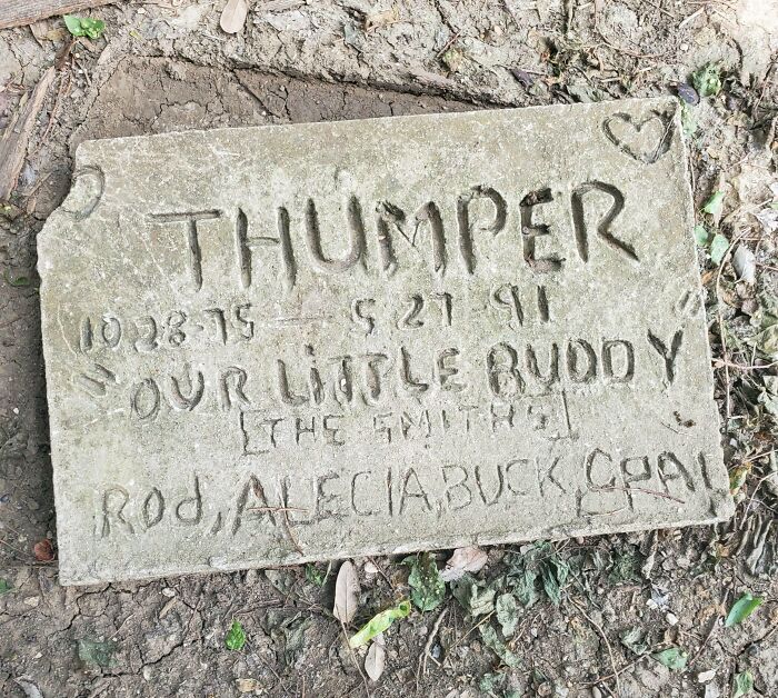Just Bought A New Home 3 Months Ago And I Found This In My Backyard After Cutting Down A Large Tree In The Corner. RIP Thump