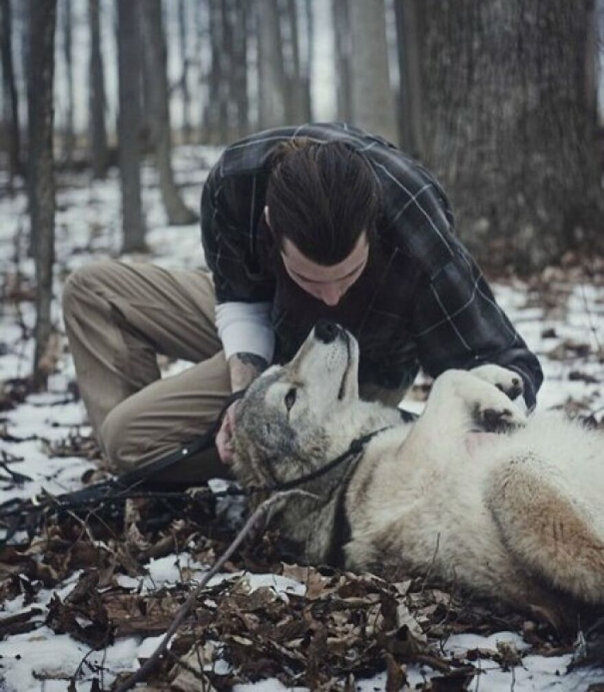 My Boyfriend And Our High Content Wolfdog, Cana. We Teach Educational Programs With Her