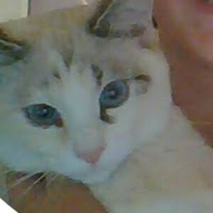 savannahwiegand_1 avatar