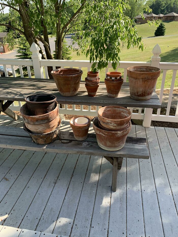 All Of These Pots Were About Two Stops From Being In The Trash Truck. I Just Barely Got To Them In Time!