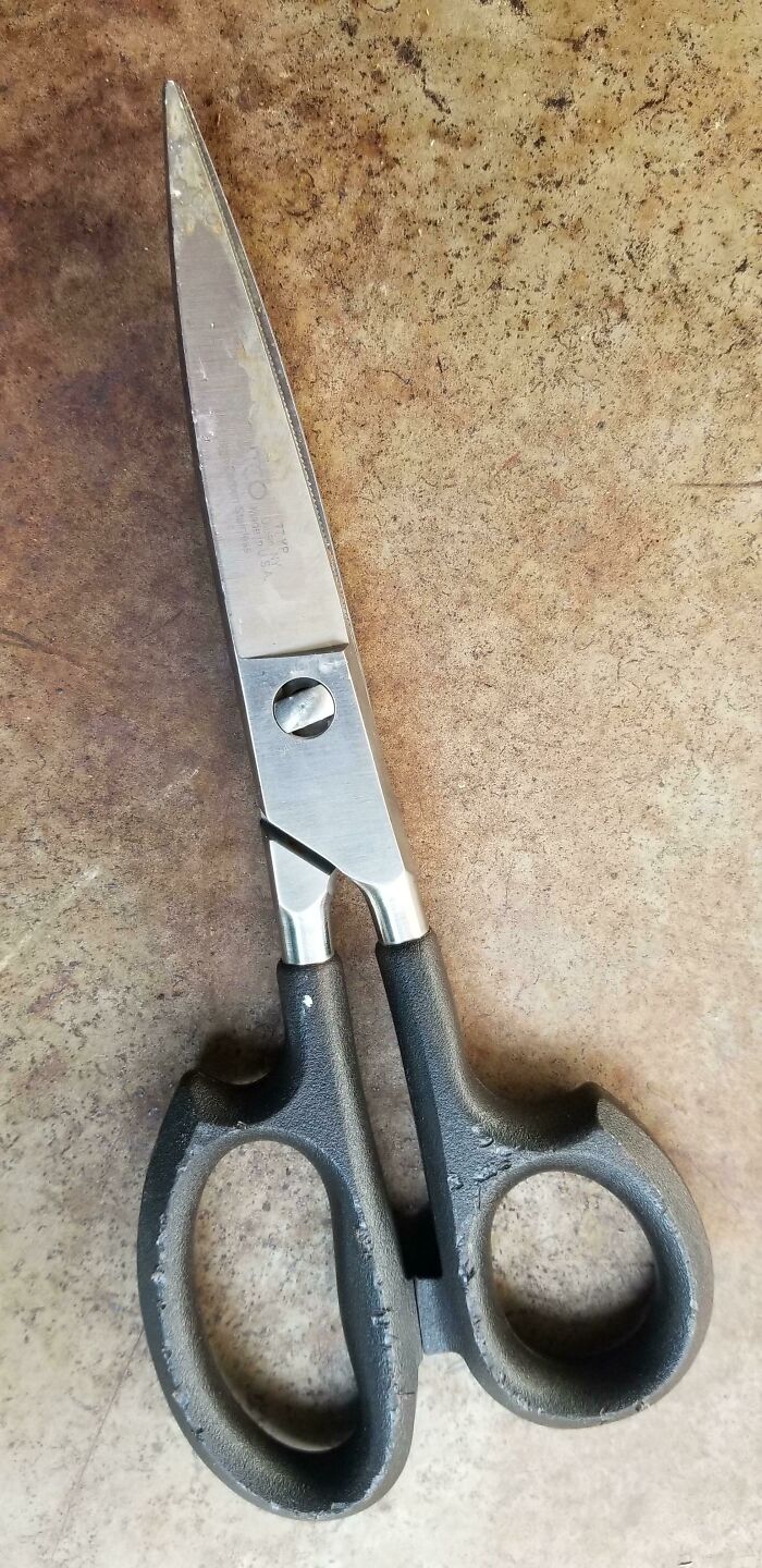 I Found These By My Driveway This Morning. Cutco Model 77