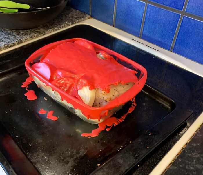 This Is How Being Dumb Feels, I’ve Never Done Something Stupider Than This, I Could’ve Burnt My Whole House By Just Putting A Plastic Cover Over My Ham Into My Oven