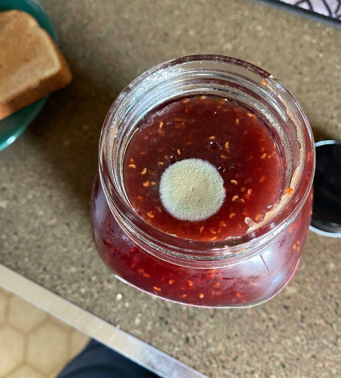 Freshly Opened Can Of Jam Has A Big Patch Of Mold. It Even Made The Popping Sound When The Seal Broke