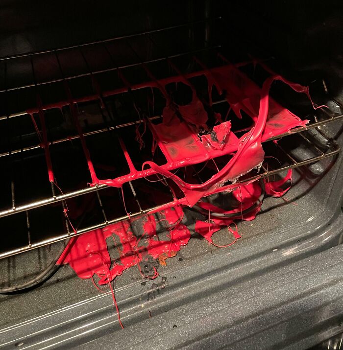 I Forgot To Take Out A Plastic Tray When Preheating The Oven. Note To Self: Stop Storing Stuff In The Oven