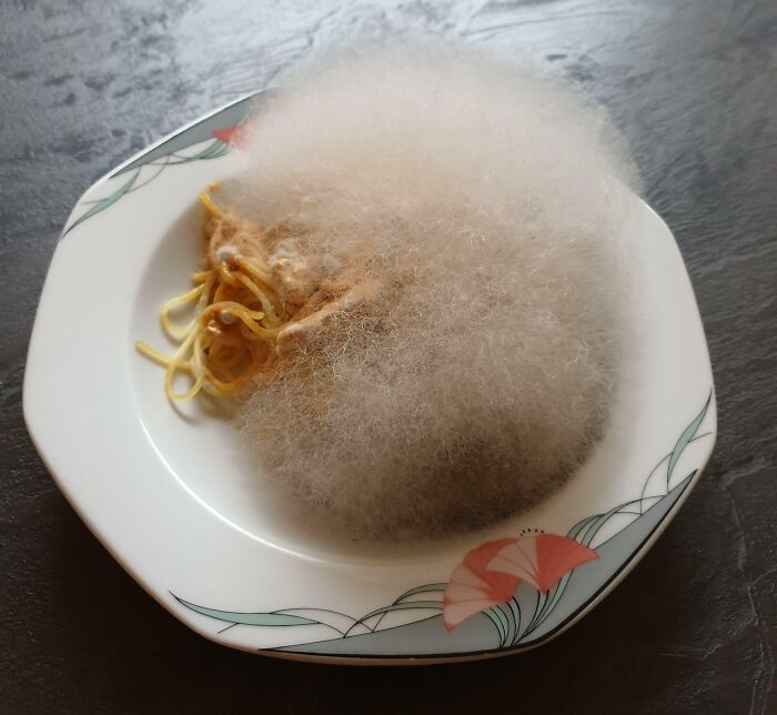 Me olvidé los espaguetis con hongos en el microondas por una semana. Ahora, son una esponjosa bola de moho