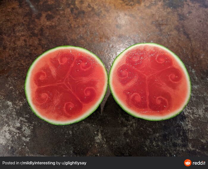 The Interior Of This Mini Watermelon