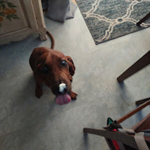 kieragracedoherty avatar