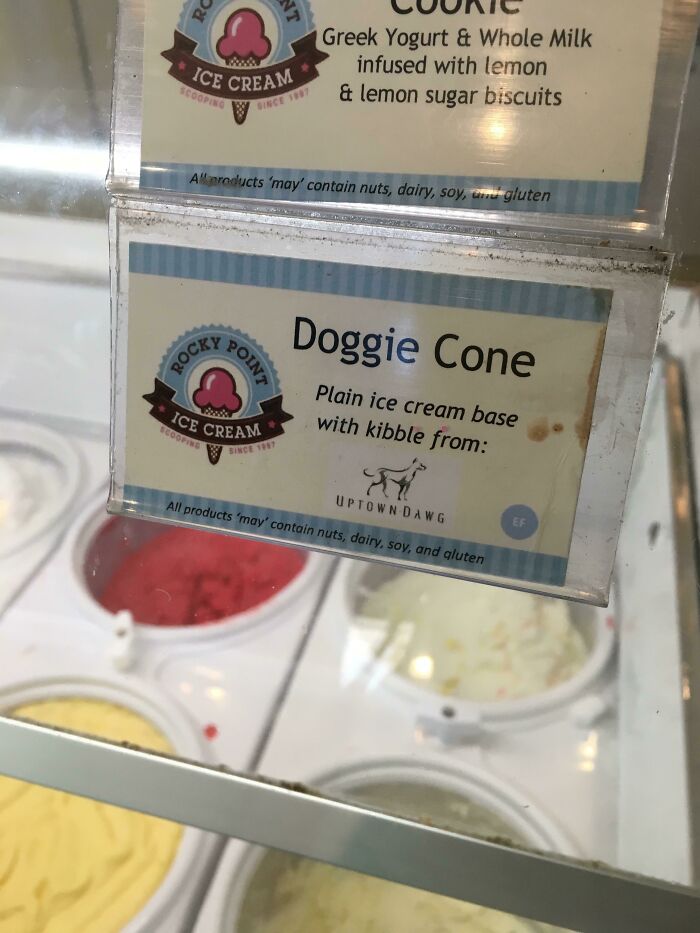 Ice Cream Shop In My Area Has Kibble Ice Cream For Dogs