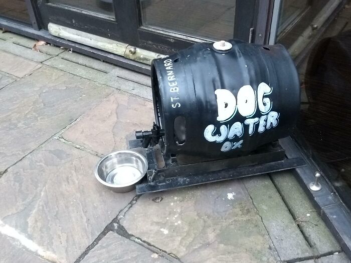 My Local Pub Has A Keg For Dogs