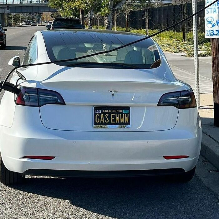 Nobody, Literally Nobody, Tesla Owners: