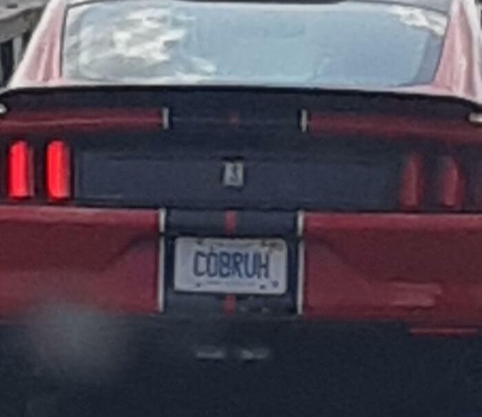 So I Saw A Cobra Today... The License Plate Nearly Killed Me