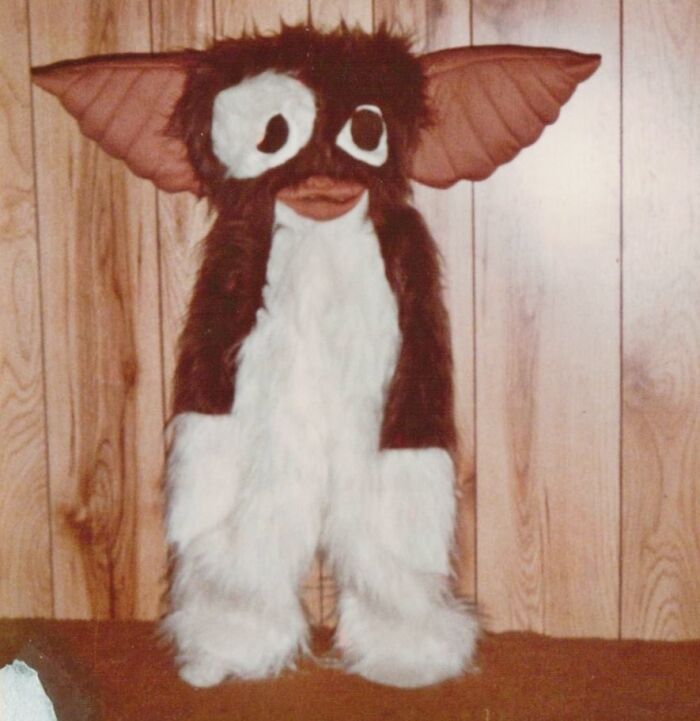 This Homemade 1980s Gizmo Costume