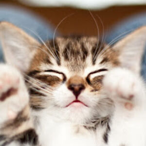 jonathanburroughs avatar