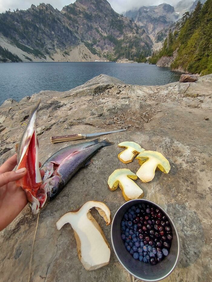 The Trifecta: Mushrooms (Porcini And Butter Boletes), Berries (Mixed Vaccinium Species), And Trout (Westslope Cutthroat). Foraging Goals While Backpacking In The Mountains Last Summer!