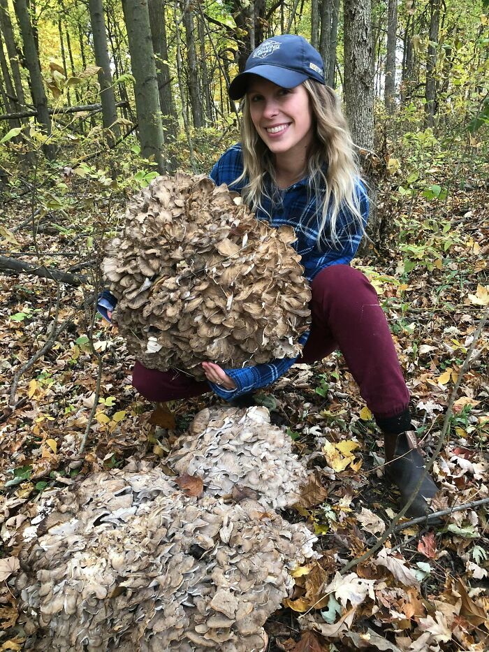 100lb Hen Of The Woods Pull - Can’t Find Birds Like This In The Grocery Store