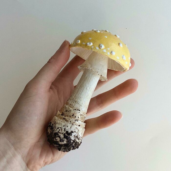 So Happy With This Amanita Muscaria Var. Guessowii I Made. Polymer Clay And Acrylic Paint