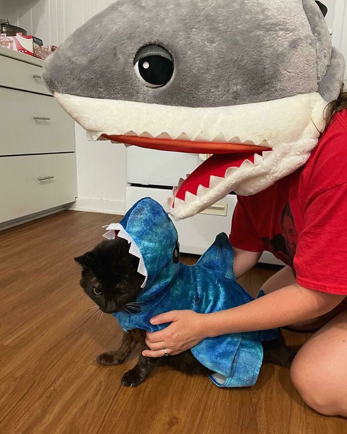 Mama And Baby Shark Ready To Paint The Town Red For Halloween