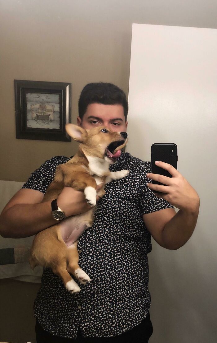 Pancake Isn't The Easiest Pup To Take Pictures With