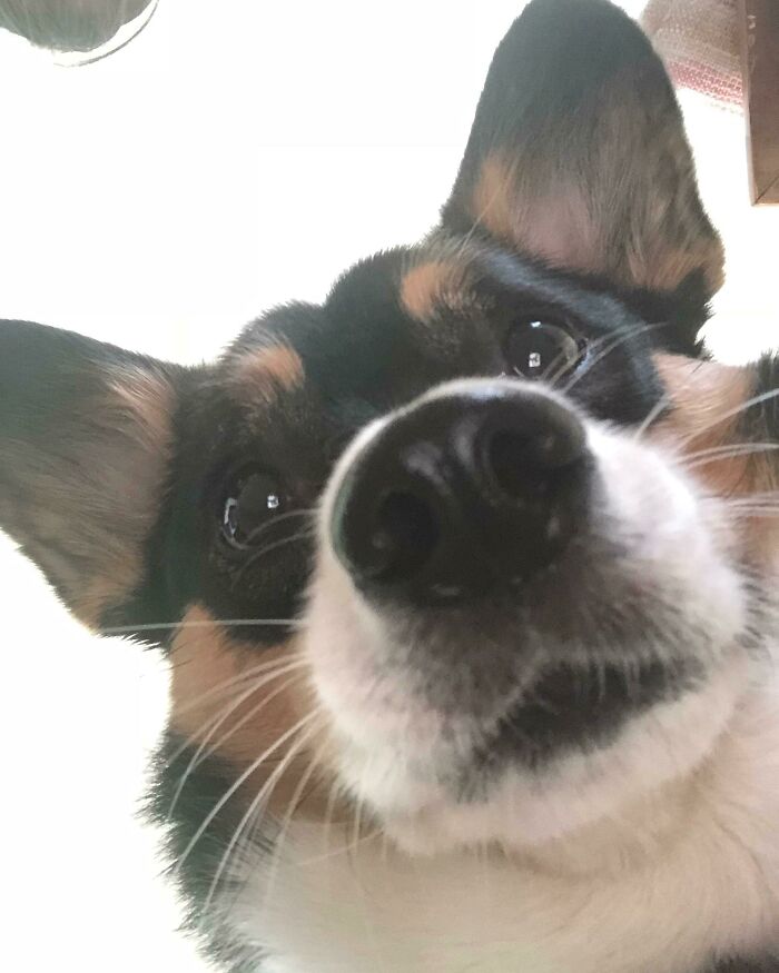 When You Accidentally Turn On The Front-Facing Camera, But It's Ok Because You're Adorable, Just A Little Surprised