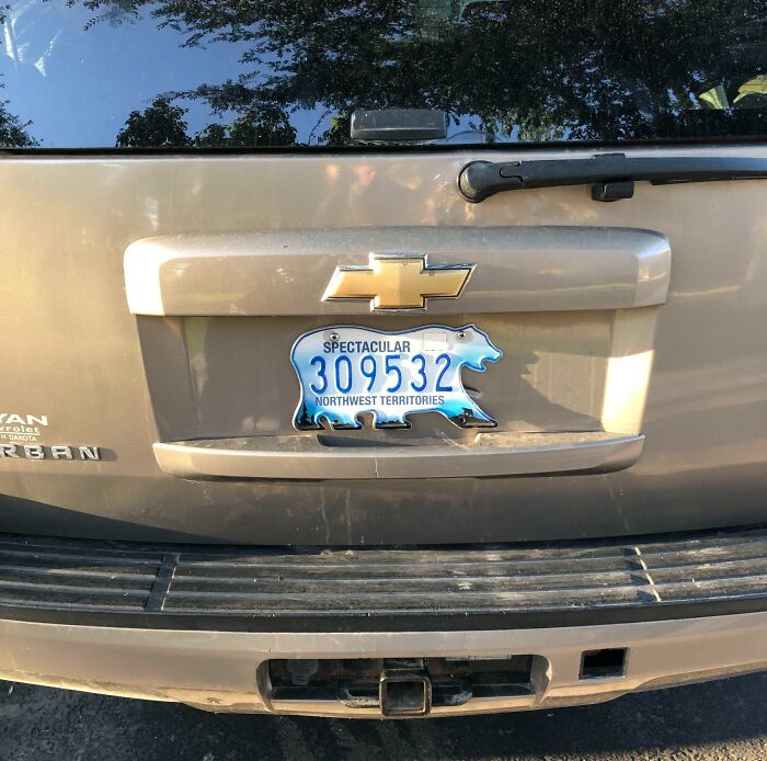 This Bear Shaped License Plate