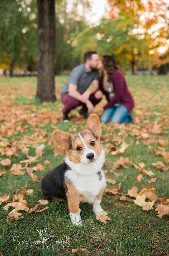 It's Our Engagement Photo But Luna Kind Of Stole The Show. Not Even Mad