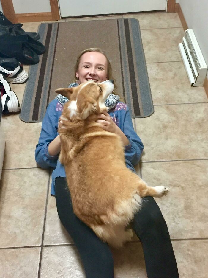 I Met A Corgi For The First Time And It Went So Much Better Than Expected