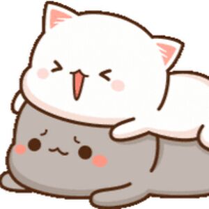 charleighcanfield avatar