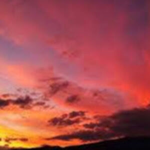 lianastandish avatar