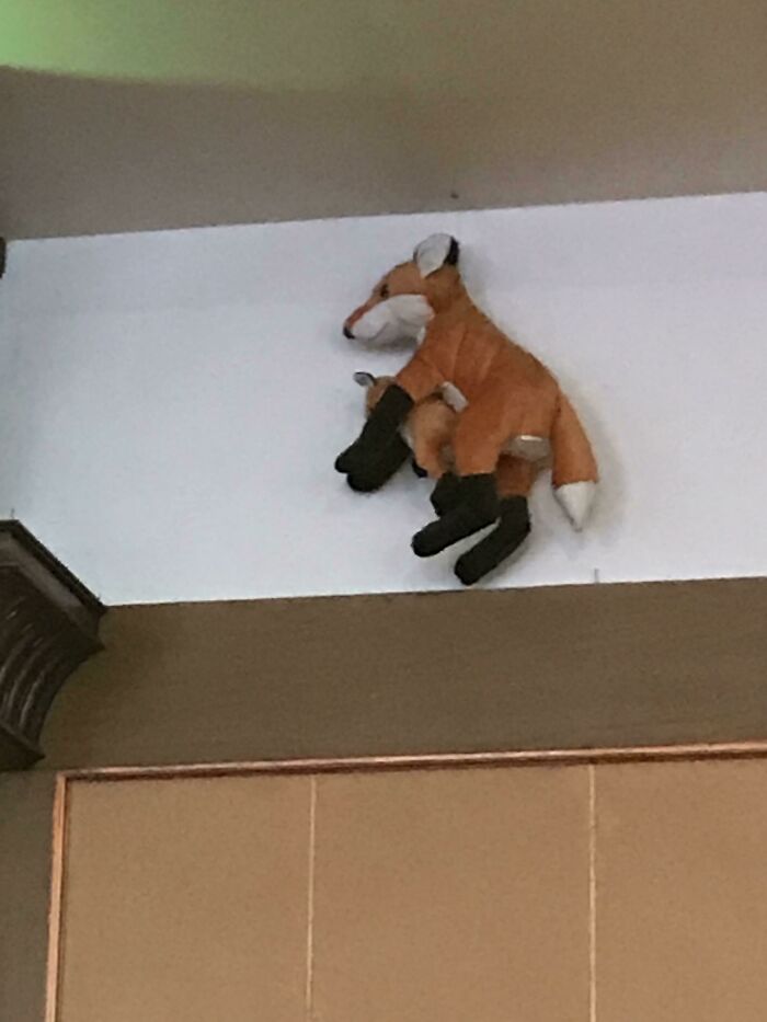 This Unfortunate Design Of A Kangaroo And Its Baby In A Hotel In India