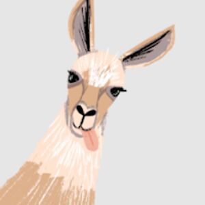 maximejaccon_1 avatar