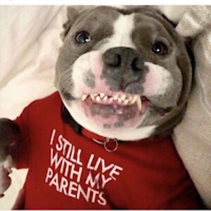 winedoesthetrick avatar