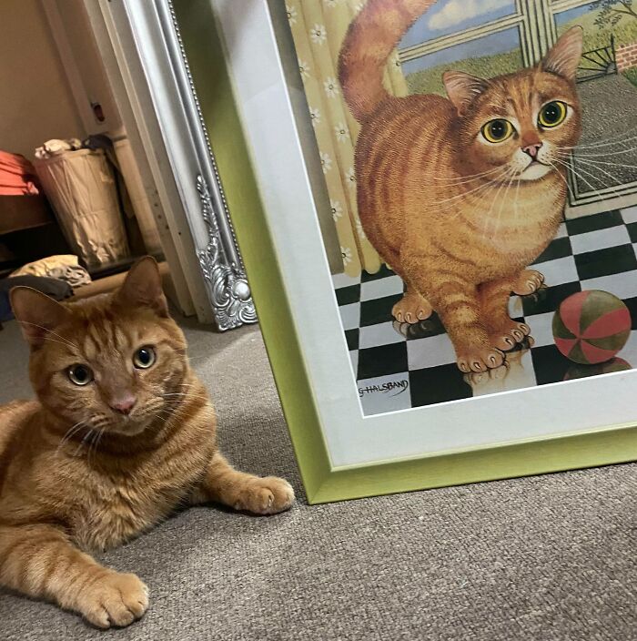 My Partner Found My Cat's Doppelgänger While Thrifting