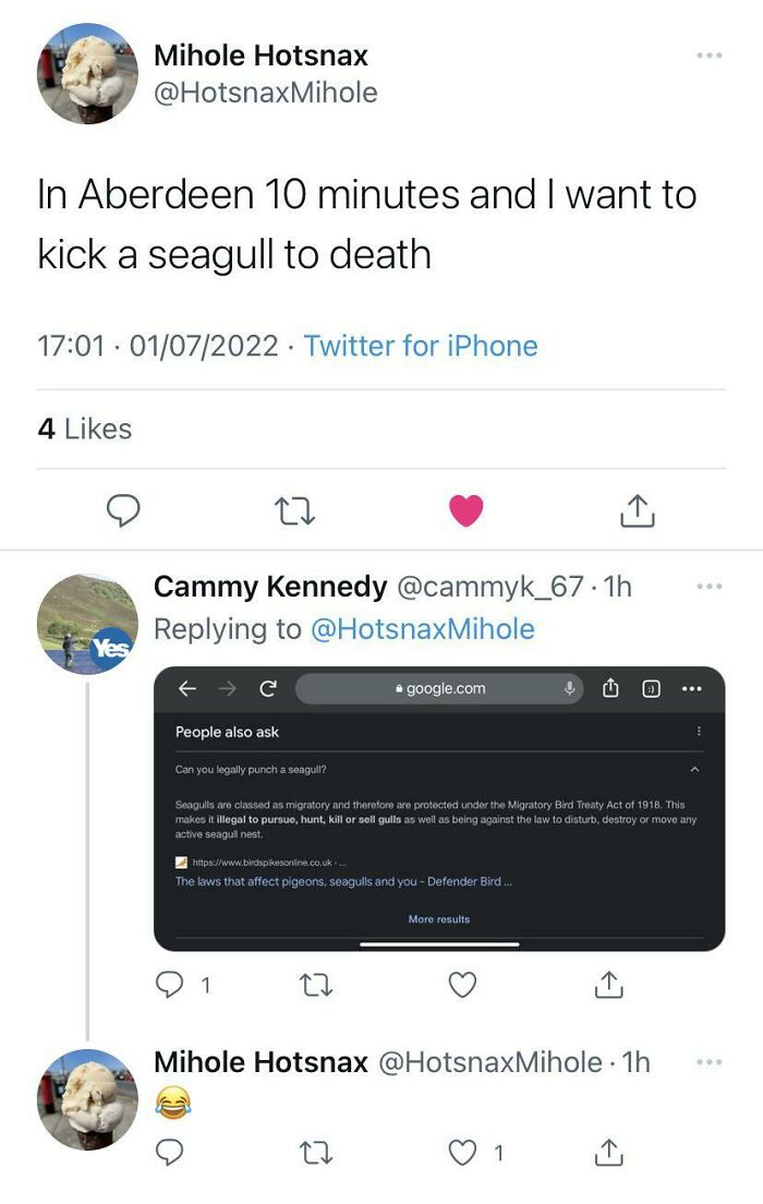 Can You Legally Punch A Seagull?
