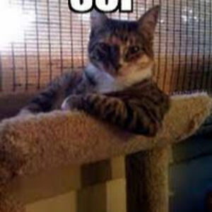 axelrowan-ayers avatar