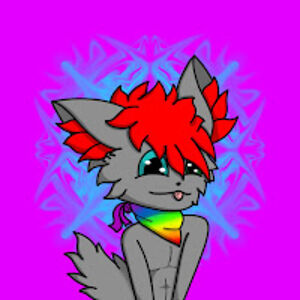 akushiwolf avatar