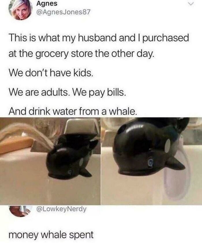 Whale Played